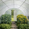 4x8m White interior poly tunnel 4x8m White interior poly tunnel