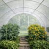 4×8 internal Poly Tunnel 4×8 internal Poly Tunnel